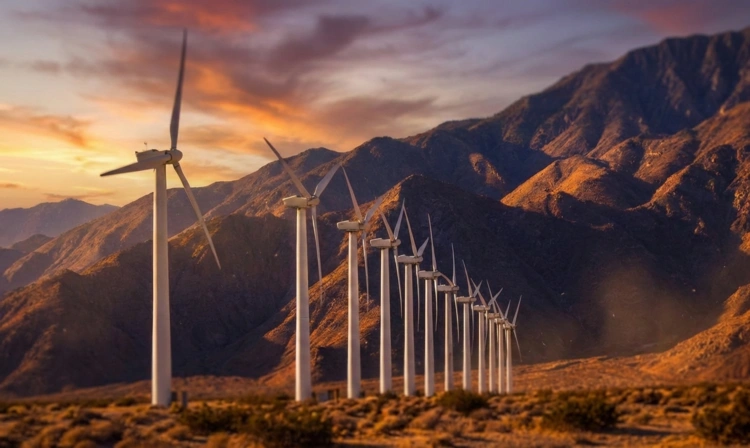 Wind turbines at sunset representing Finaux Ltd. clean energy initiatives